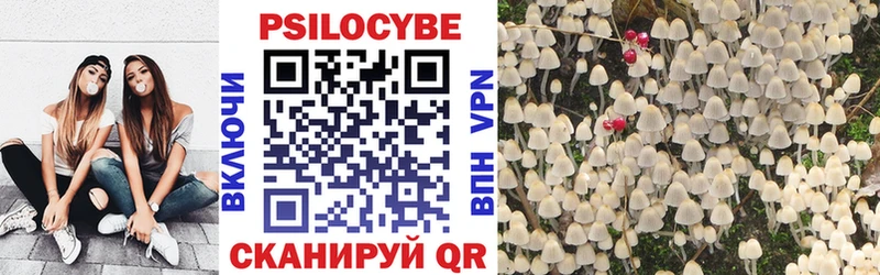 Псилоцибиновые грибы Psilocybe Уссурийск