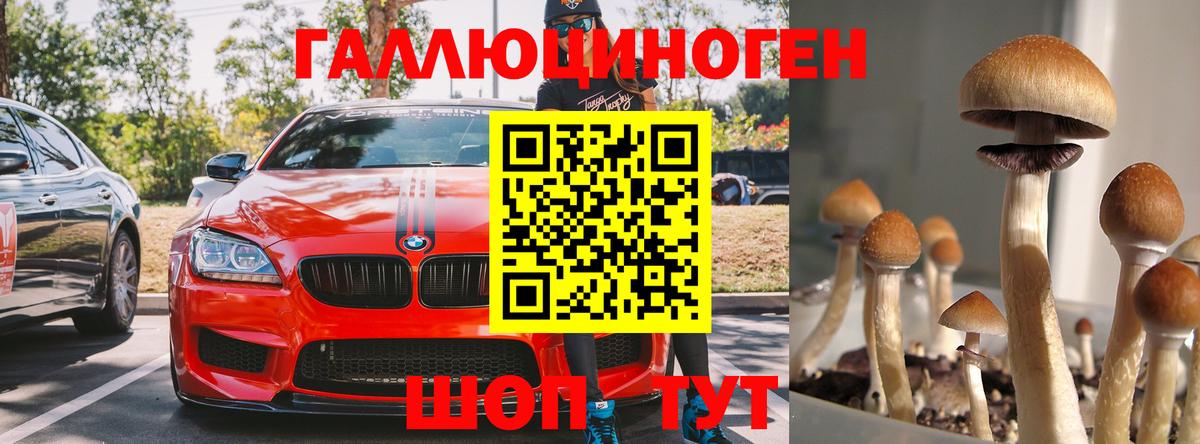как найти закладки  Галлюциногенные грибы Psilocybine cubensis  Вход с VPN  Уссурийск 